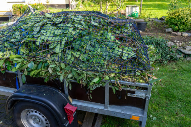 Recycling Services for Junk in Lockney, TX